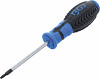 Izvijač TORX