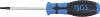 Izvijač TORX