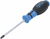 Izvijač TORX