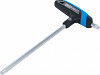 Izvijač TORX s T-ročico
