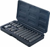 Set bitov 10 mm notranji šestkotnik 15 kosov