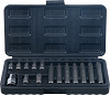 Set bitov 10 mm Torx 15 kosov