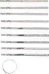 Set objemk manšete polosovine inox 7 mm 20 – 50 mm 10 kosov