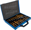 Set svedrov HSS s TIN prevleko 1-10mm 231 kos