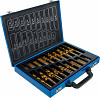 Twist Drill Set HSS titanijev nitrid 1 - 10 mm 170 kosov
