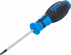 Izvijač TORX z luknjo