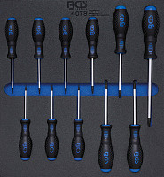 Set izvijačev TORX v peni 2/3 11 kos